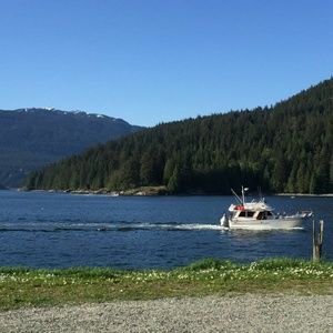 Meet your Posher, Sarab